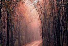 易游YY：意甲第35輪斯佩齊亞2-0米蘭 米蘭留力歐冠 輕敵不敵降級區隊伍！.