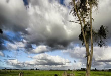 [亚冬会]自由式滑雪女子个人空中技巧决赛.